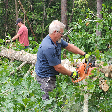 Miles emergency tree services image